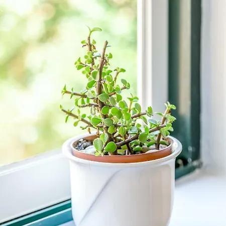 Διαμέρισμα Alfama Spacious And Amazing Apartment, By Timecooler Lisboa